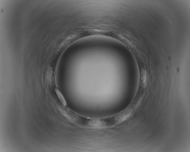 X0000083010231200702021057