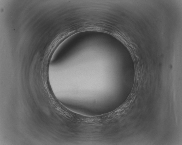 X0000083010241200702021056