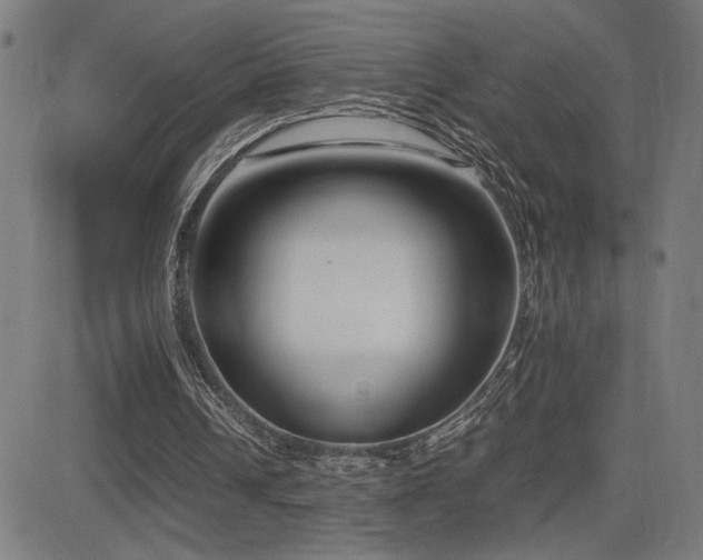 X0000083010242200702021056