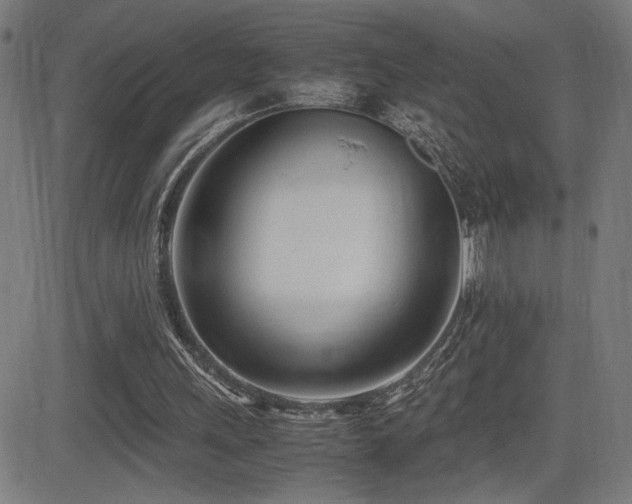 X0000083010243200702021056