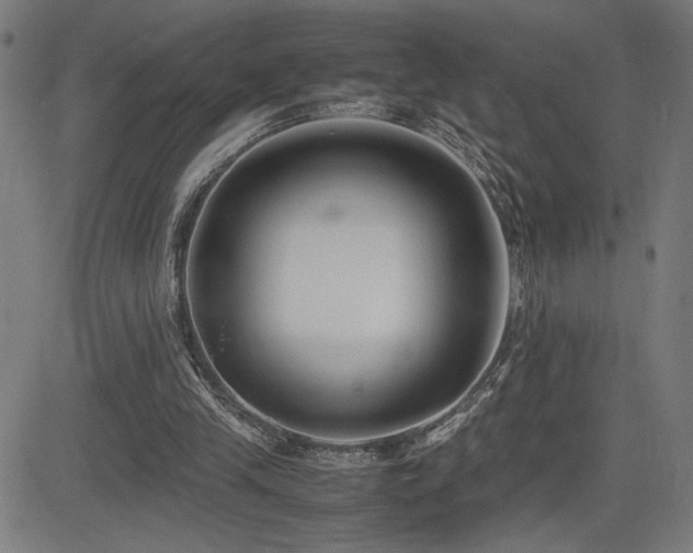 X0000083010245200702021056