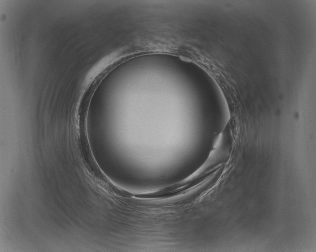 X0000083010246200702021056