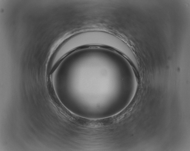 X0000083010248200702021056