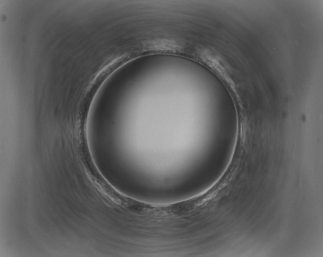 X0000083010249200702021056