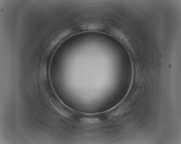 X0000083010251200702021057