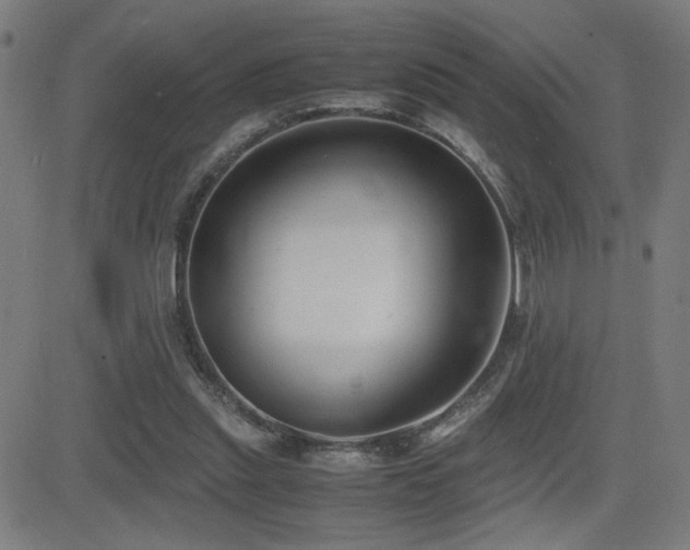 X0000083010253200702021057