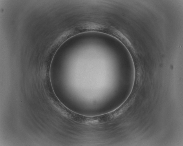 X0000083010257200702021057