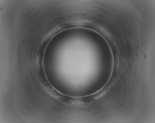 X0000083010258200702021057