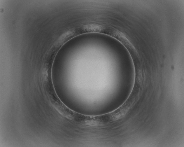 X0000083010259200702021057