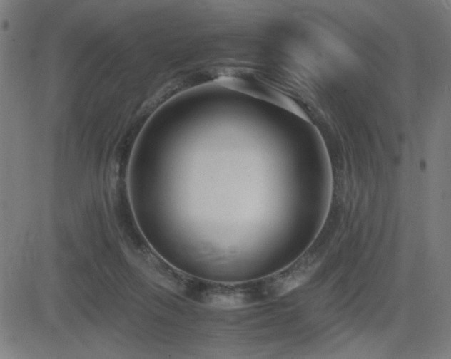 X0000083010263200702021057