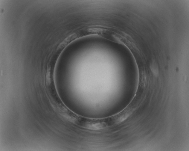 X0000083010267200702021057