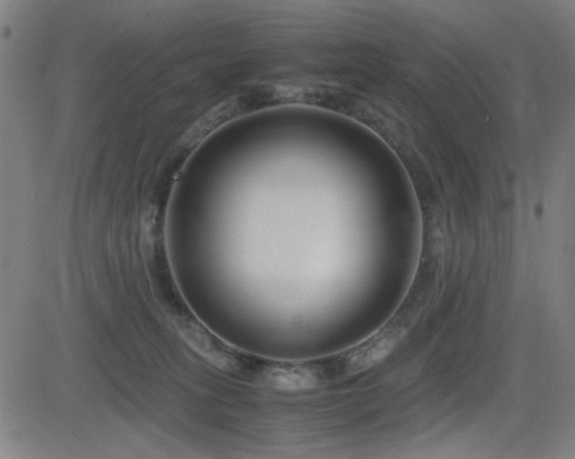 X0000083010275200702021057