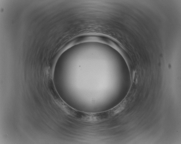 X0000083010276200702021057