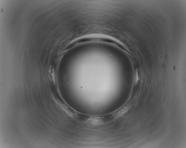 X0000083010280200702021057