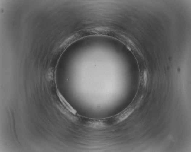 X0000083010284200702021057