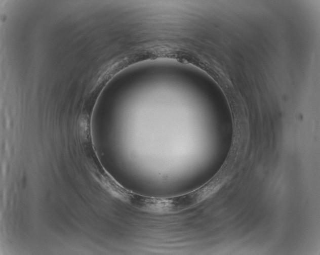 X0000083010288200702021057