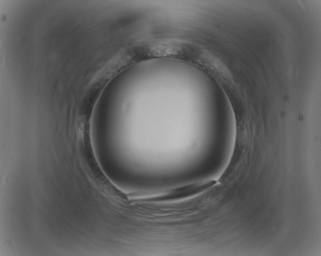 X0000083010315200702021056