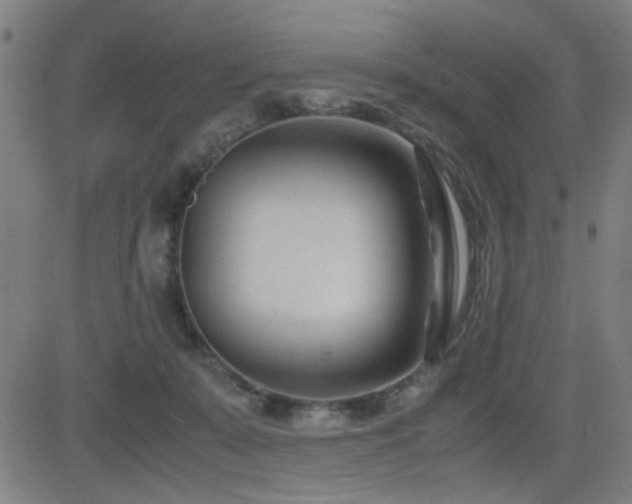X0000083010319200702021056
