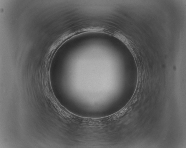 X0000083010337200702021055