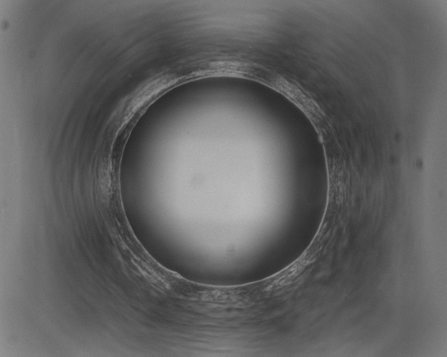 X0000083010338200702021055
