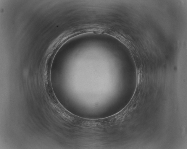 X0000083010339200702021055