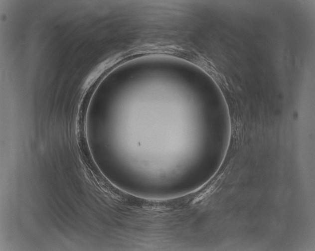 X0000083010340200702021055