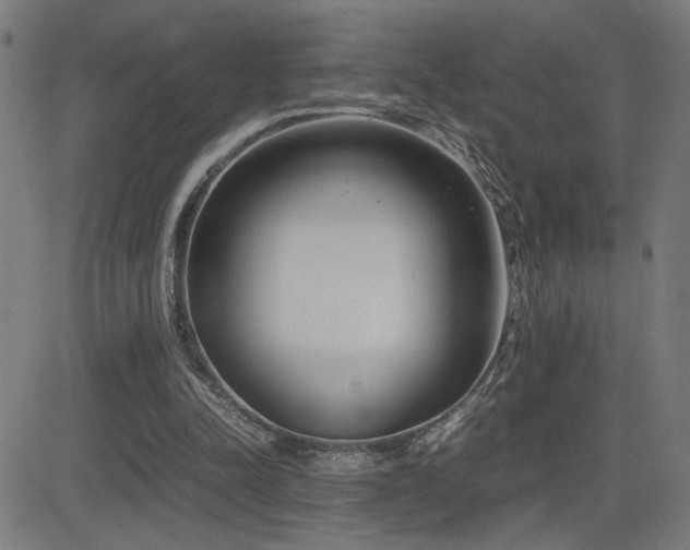 X0000083010342200702021055