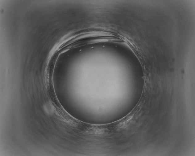 X0000083010343200702021055