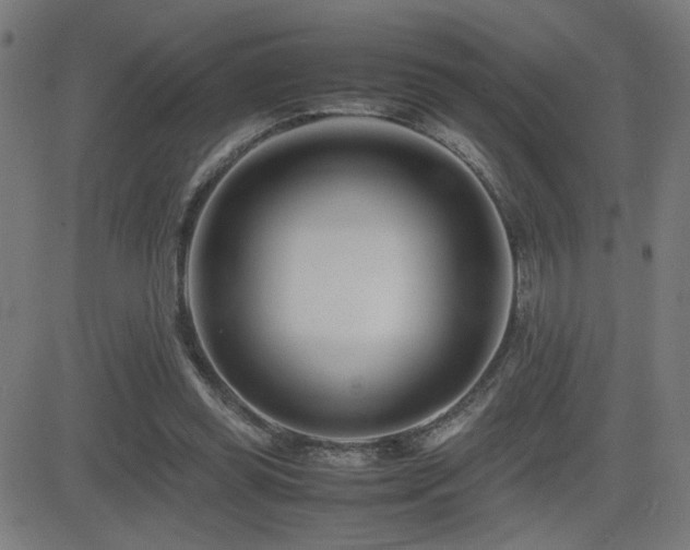X0000083010349200702021055