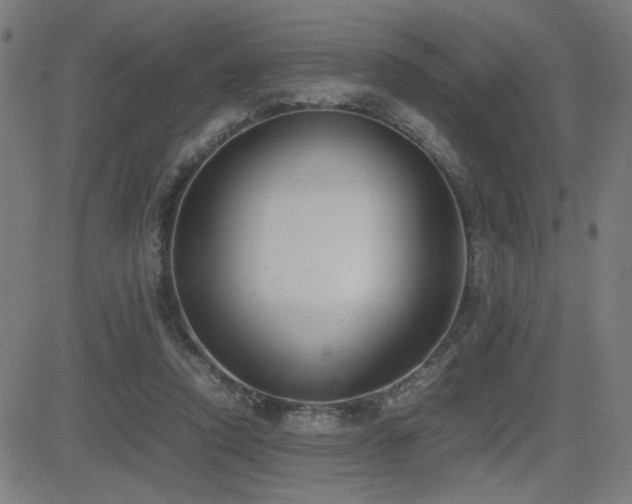 X0000083010354200702021055
