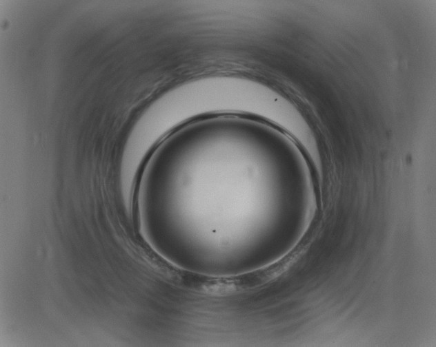 X0000083010362200702021055