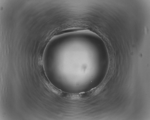 X0000083010384200702021056