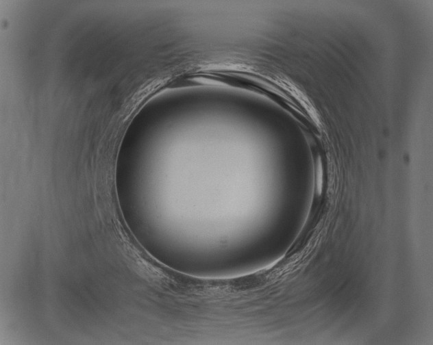 X0000083010385200702021055