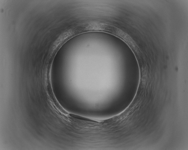 X0000083010386200702021055