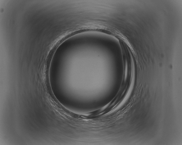 X0000083010387200702021055