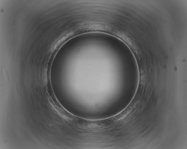 X0000083010390200702021055
