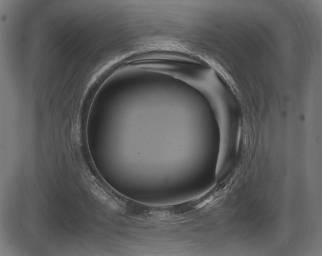 X0000083010391200702021055