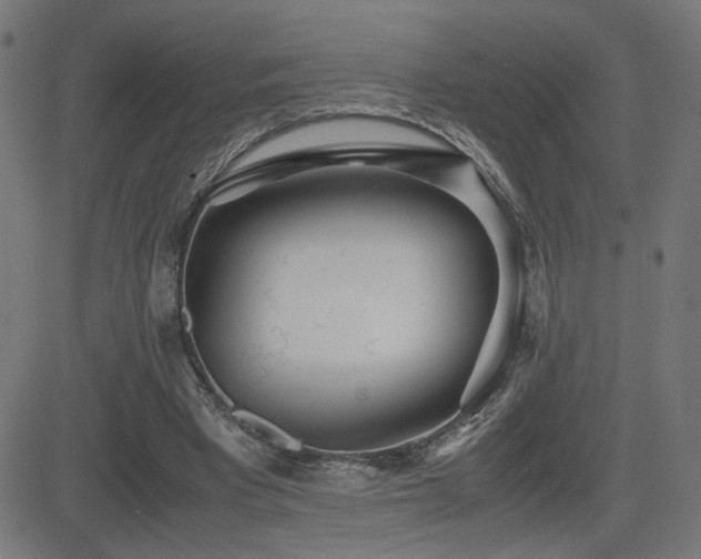X0000083010393200702021055