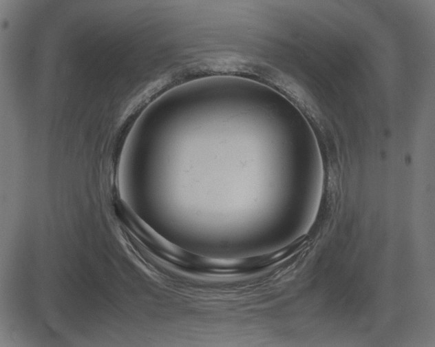 X0000083010397200702021055
