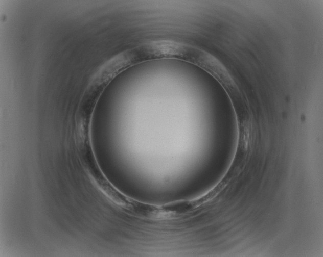 X0000083010410200702021054