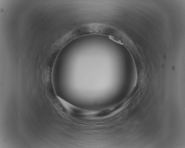 X0000083010413200702021054