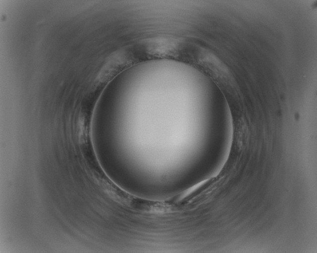 X0000083010420200702021054
