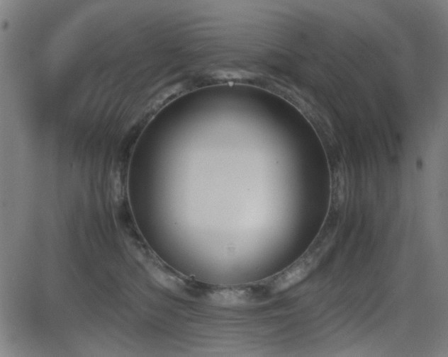 X0000083010422200702021054