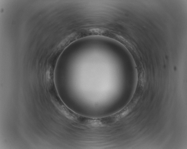X0000083010424200702021054