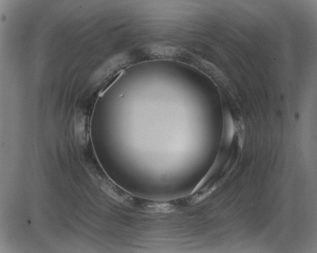 X0000083010428200702021054