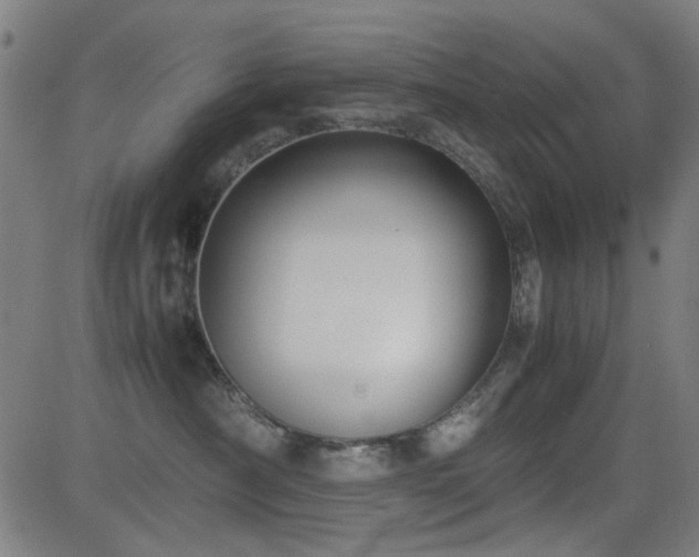 X0000083010430200702021054