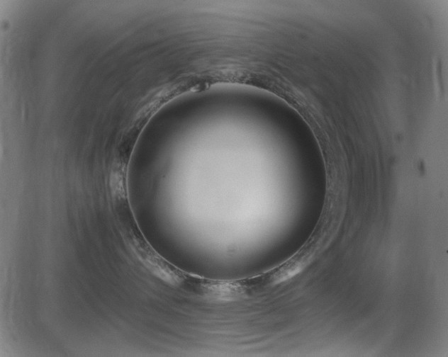 X0000083010432200702021054