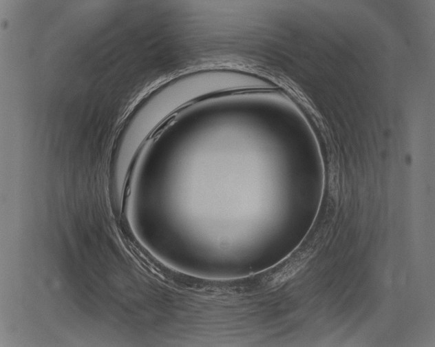 X0000083010434200702021053