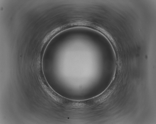 X0000083010437200702021053