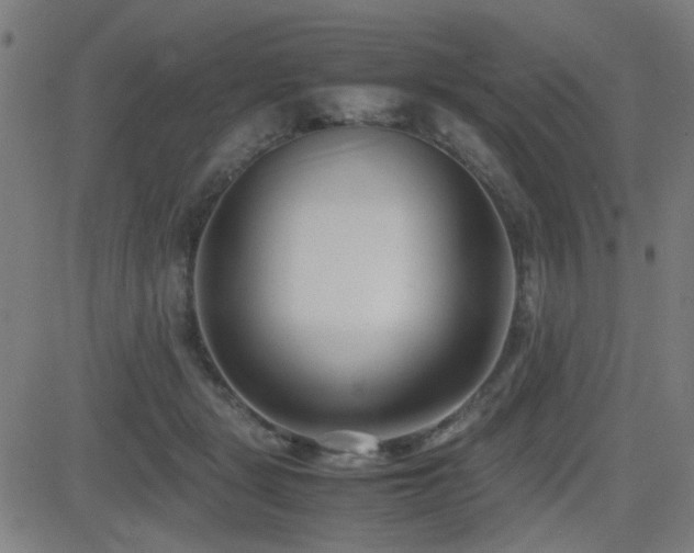 X0000083010461200702021054
